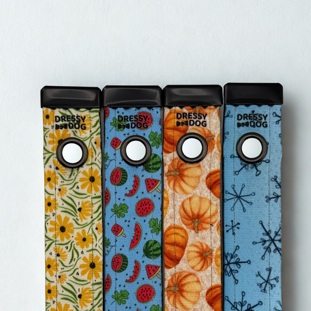 Year-Round Style Kit Collar and Four Seasonal Playful Designs By Dressy Dog