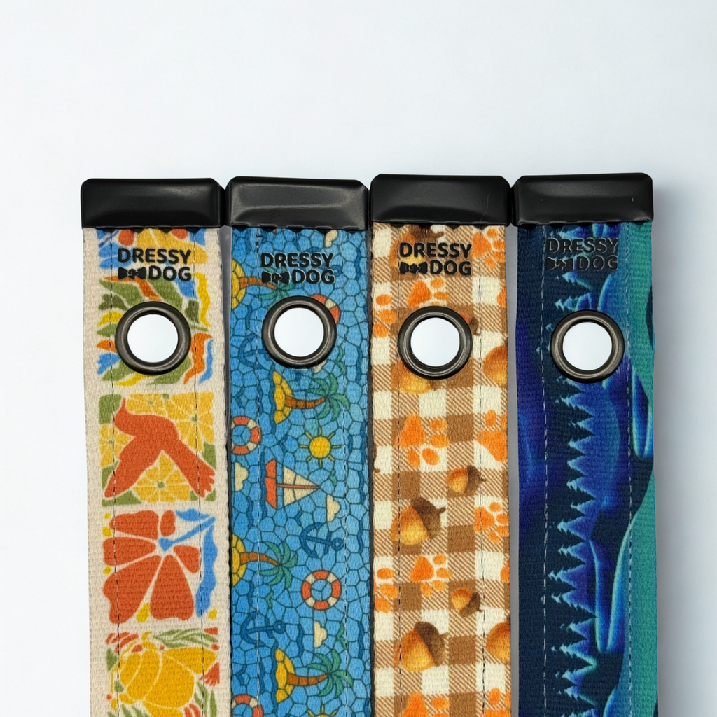 Year-Round Style Kit Collar and Four Seasonal Cozy Classics By Dressy Dog