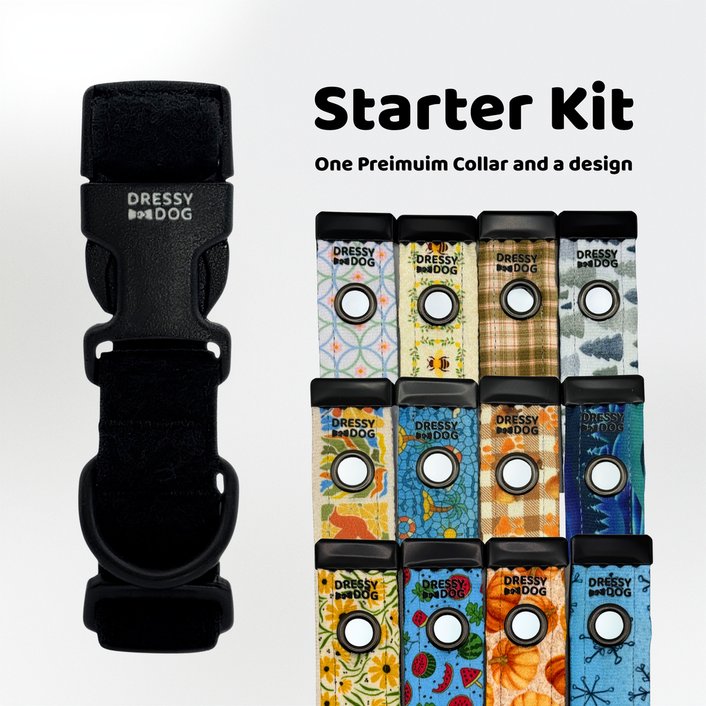 Starter Kit | One Premium Dog Collar with an Interchangeable Design