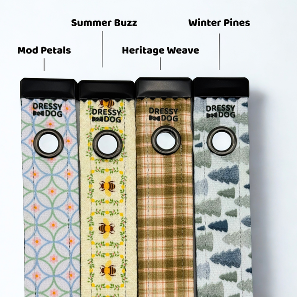 Individual Design Attachments For Dressy Dog Interchangeable Collar