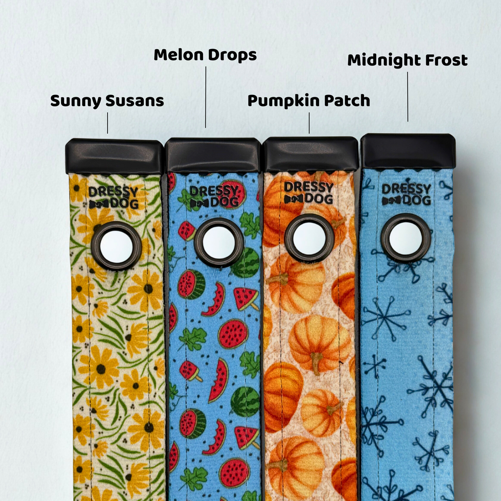 Dressy Dog Interchangeable Designs For Collar