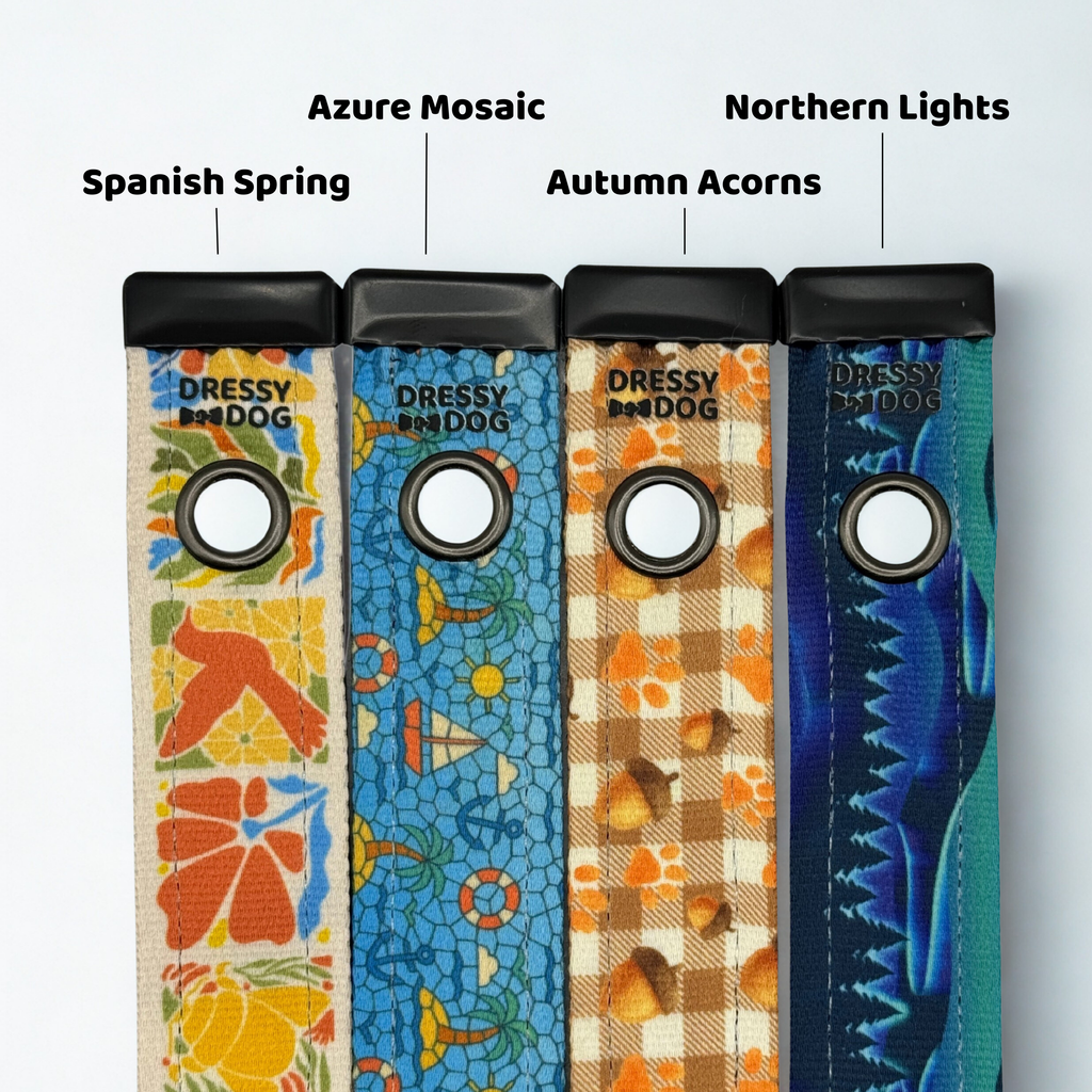 Dressy Dog Interchangeable Designs For Collar