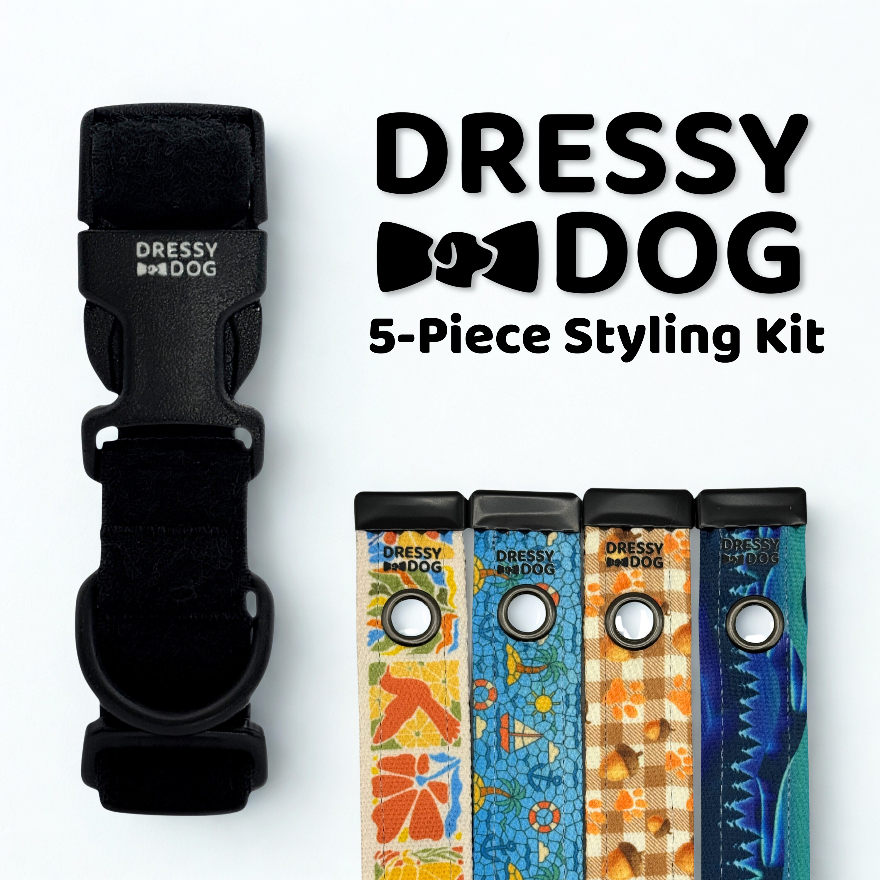 Interchangeable dog collar kit with four seasonal designs: nature floral with birds, nautical mosaic with boats, fall plaid with acorns, and winter northern lights.