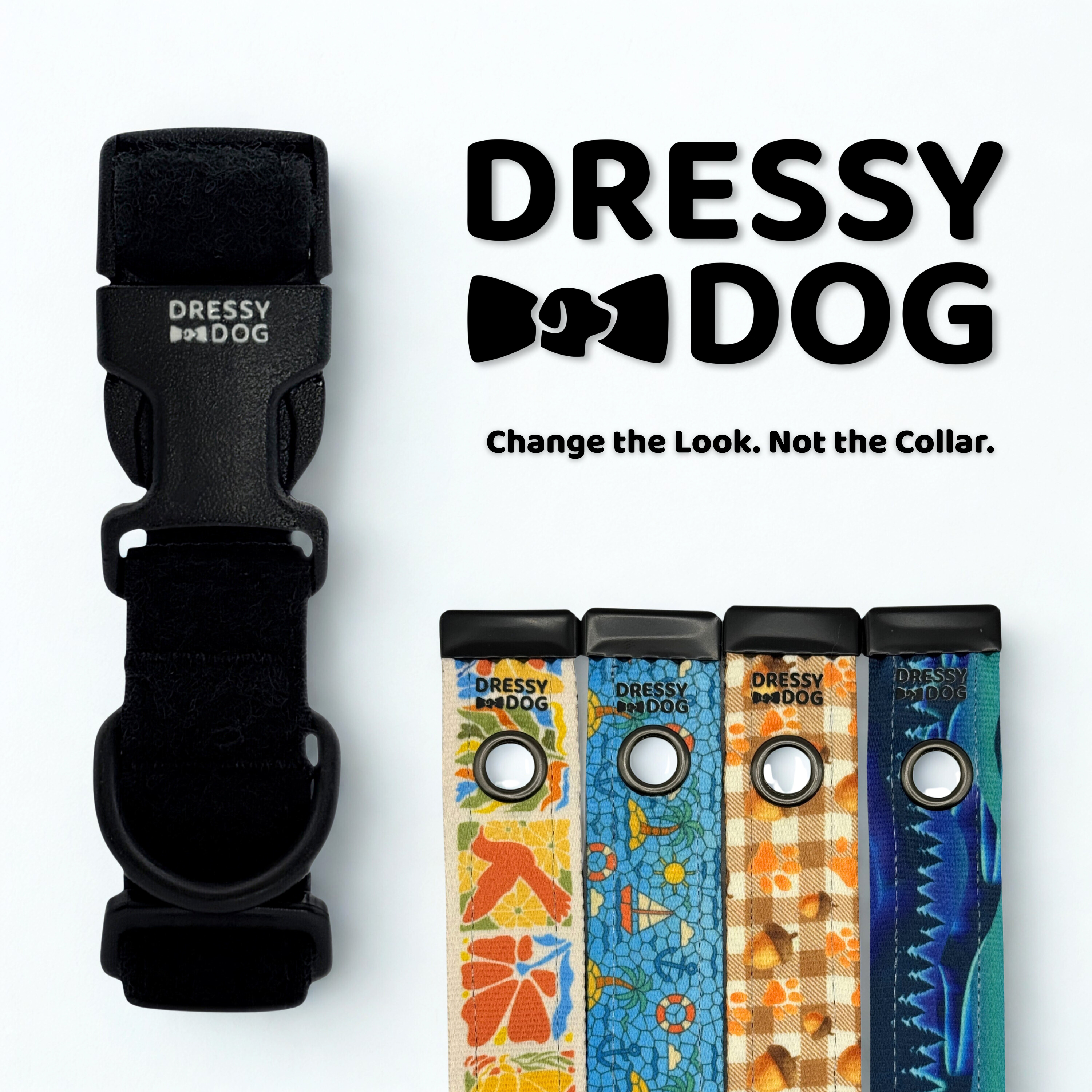 Year-Round Style Kit Collar and Four Seasonal Cozy Classics By Dressy Dog