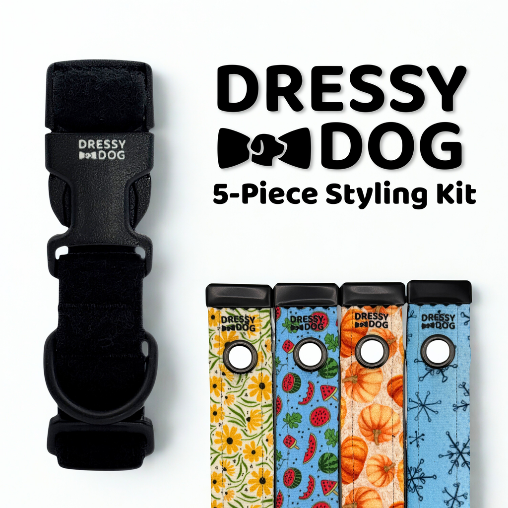 Interchangeable dog collar kit with four vibrant seasonal designs: flowers, watermelons, pumpkins, and snowflakes.
