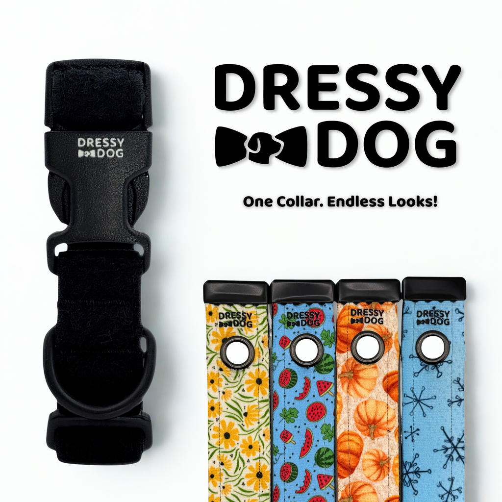 Year-Round Style Kit Collar and Four Seasonal Playful Designs By Dressy Dog