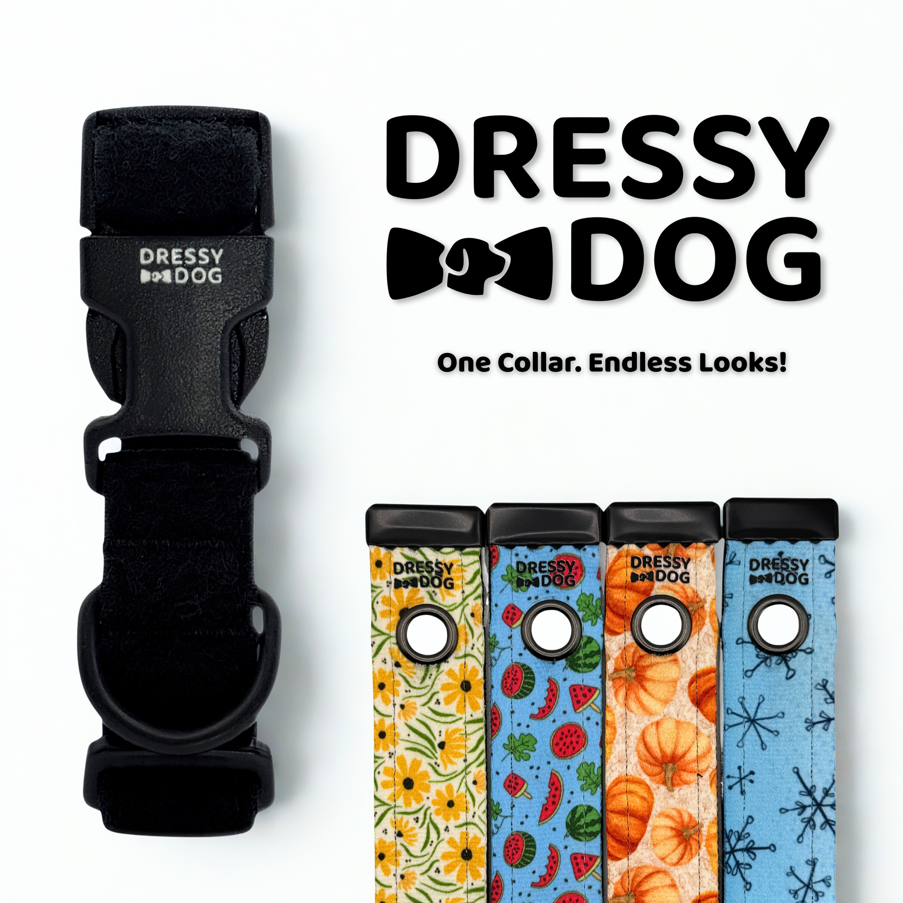 Year-Round Style Kit Collar and Four Seasonal Playful Designs By Dressy Dog