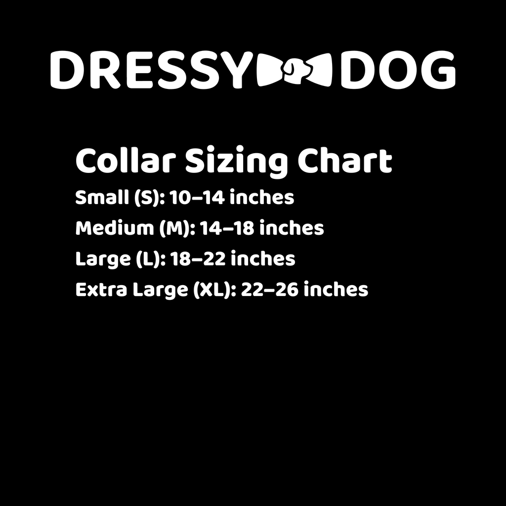 Year-Round Style Kit Collar and Four Seasonal Cozy Classics By Dressy Dog