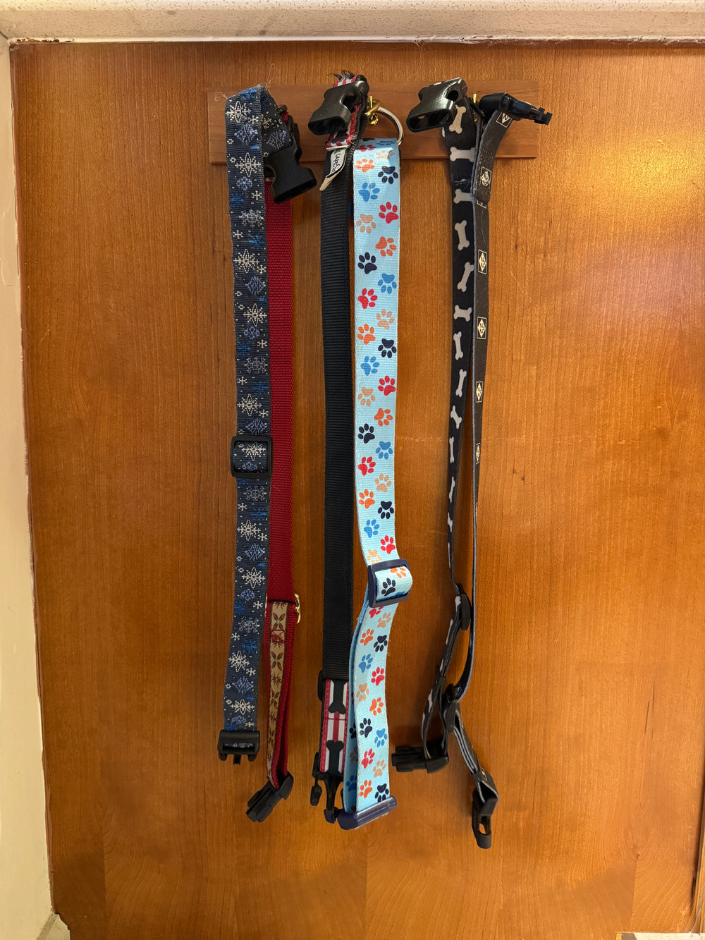 Old bulky dog collars hanging messily